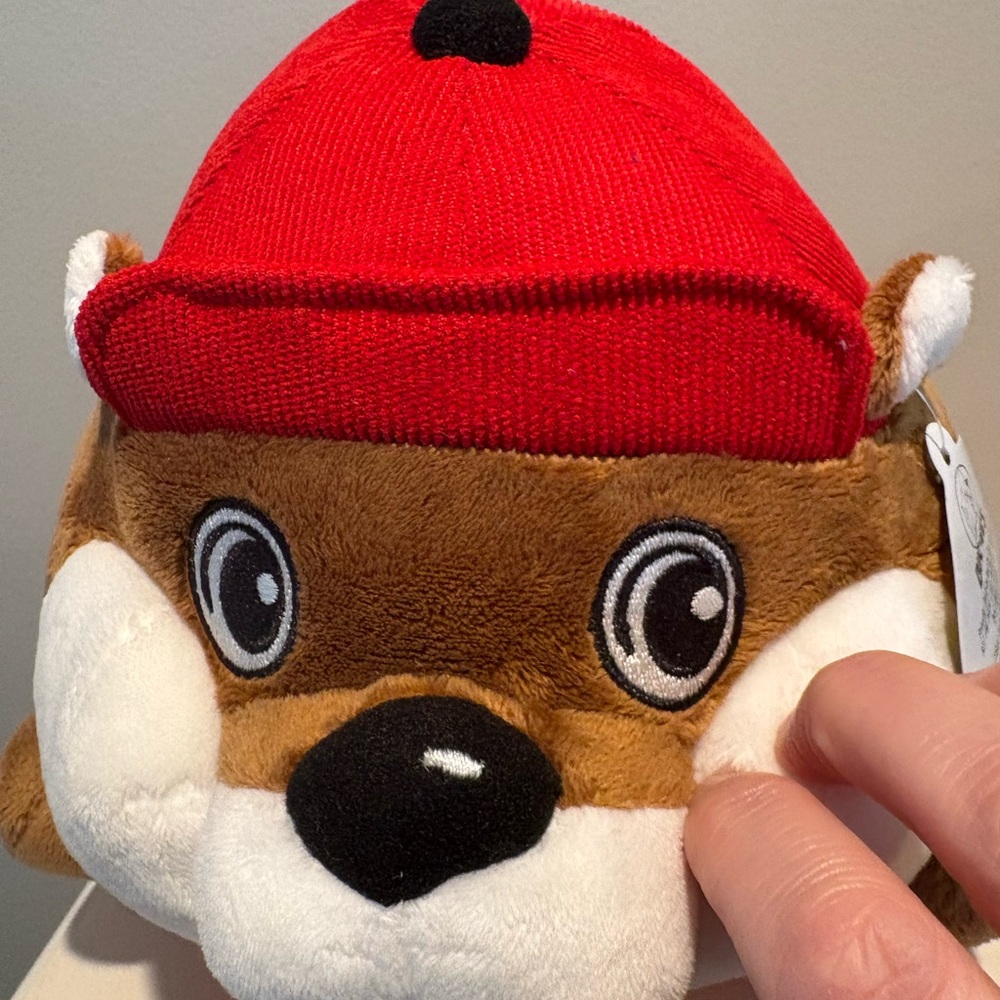 Buc-ee’s plush beaver NWT - Picture 7 of 13